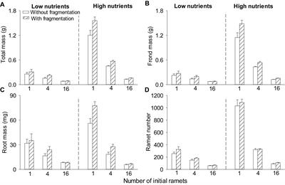 Growth and Morphological Responses of Duckweed to Clonal Fragmentation, Nutrient Availability, and Population Density